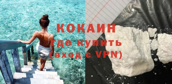 apvp Вяземский