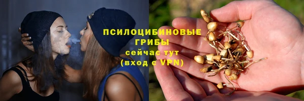 apvp Вяземский