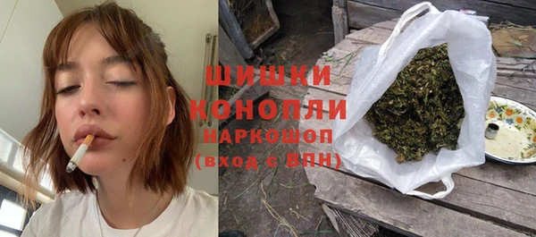 apvp Вяземский