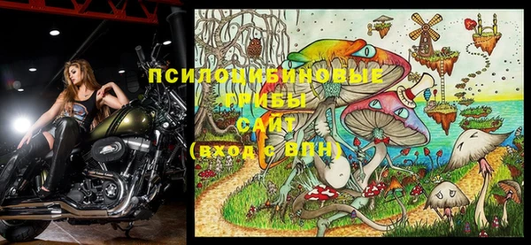 apvp Вяземский